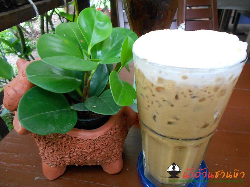 ร้านกาแฟหวานน้อย – จุดนัดพบของกาแฟและธรรมชาติ