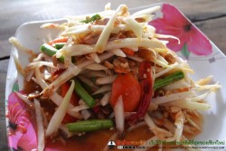 Permanent Link to ส้มตำโชกุน ส้มตำรสเด็ด แต่ราคาเพียง 25 บาทเท่านั้น