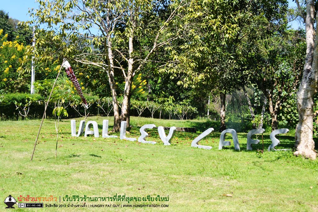 Valley Cafe ร้านกาแฟในป่าเขา บรรยากาศธรรมชาติ