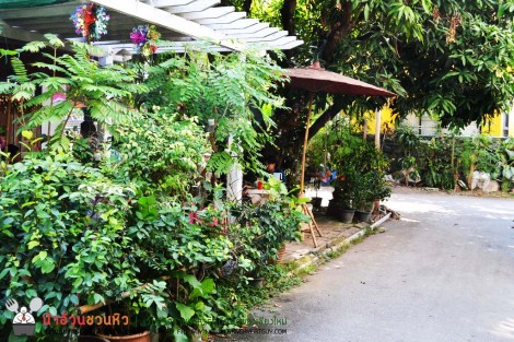 Baan Saraphi Coffee & Cuisine บ้านนี้อาหารอร่อย