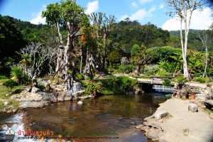 ธารทองลอด์จ ร้านอาหารอร่อย วิวสวยด้วยบรรยากาศรีสอร์ท