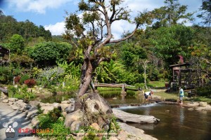 ธารทองลอด์จ ร้านอาหารอร่อย วิวสวยด้วยบรรยากาศรีสอร์ท