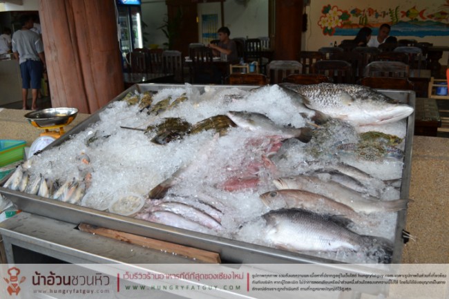 บ. กุ้งเผา สาขา 2 ส่งตรงความอร่อยจากแม่สอด มาสู่นครเชียงใหม่