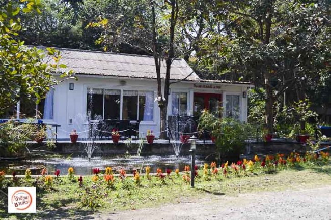 David's Kitchen at 909 ร้านอาหารฝรั่งบรรยากาศร่มรื่น เชียงใหม่