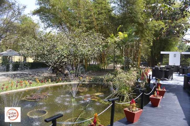 David's Kitchen at 909 ร้านอาหารฝรั่งบรรยากาศร่มรื่น เชียงใหม่