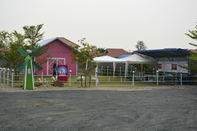 Charming Farm สันทราย ร้านอาหารอร่อยๆ ของคนรักน้องแกะ