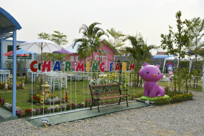 Charming Farm สันทราย ร้านอาหารอร่อยๆ ของคนรักน้องแกะ