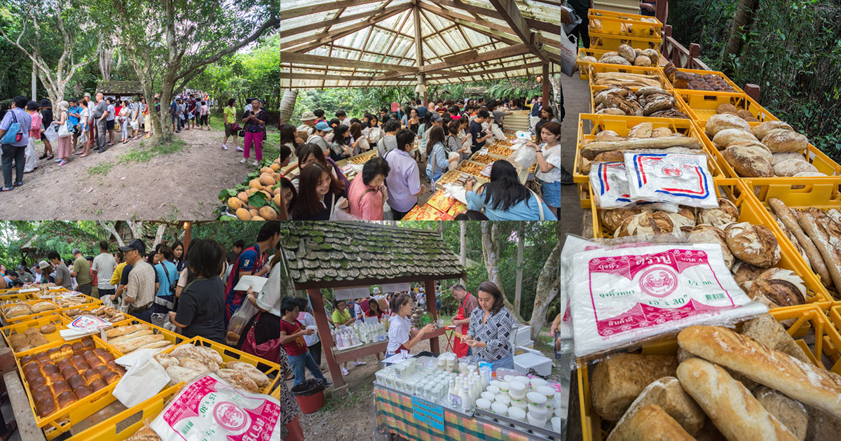 ขนมปังคิวยาว ชาวเชียงใหม่ไม่หวั่น ขอให้มาชิมสักวัน สนุกสุดมันจริงเอย – ขนมปัง บ้านสวนไผ่ล้อม