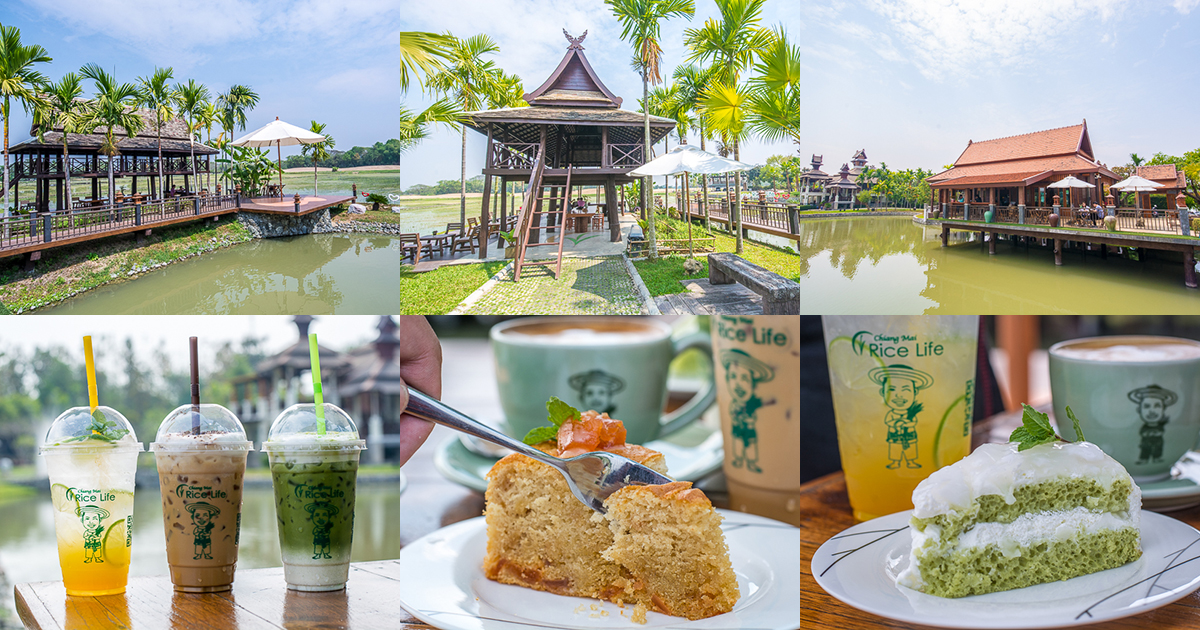 โหยหาธรรมชาติในวันสบาย ร้านกาแฟริมทุ่งนา ฟินกับวิวพานอรามาที่ Chiang Mai Rice Life