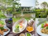 Permanent Link to หนีความวุ่นวายในเมือง ไปสูดอากาศบริสุทธิ์ วิวทุ่งนาเขียวขจีที่ Rock & Loft Cafe สันกำแพง