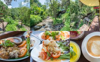 Permanent Link to สวรรค์แห่งการพักผ่อน ห้อมล้อมด้วยธรรมชาติ เสียงน้ำตก ลมพัดเย็น ที่ The ForRest แม่กำปอง