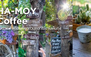 Permanent Link to เที่ยวชมสวนดอกไม้จนเหนื่อย เปลี่ยนมานั่งจิบกาแฟเรื่อย ๆ ที่ HA-MOY Coffee แม่ริม
