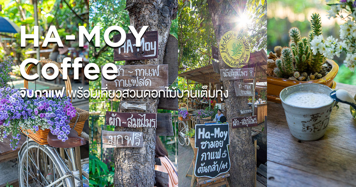 เที่ยวชมสวนดอกไม้จนเหนื่อย เปลี่ยนมานั่งจิบกาแฟเรื่อย ๆ ที่ HA-MOY Coffee แม่ริม