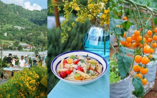 Permanent Link to ตลุยฟาร์มมะเขือเทศ เที่ยวชมสวนผักออร์แกนิก บนเนินเขาวิวสวย พร้อมดินเนอร์สุดสดชื่นที่ Greensgarden Farm