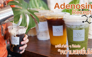 Permanent Link to Adenosine Receptor ฉันจะกระตุ้นความสดชื่นในตัวเธอ ด้วยกาแฟแก้วอร่อย