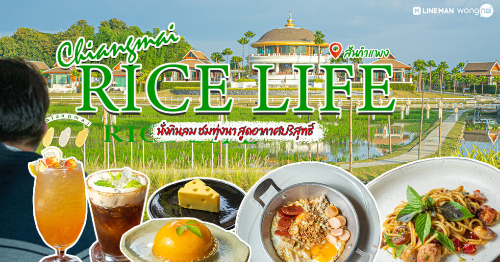 นั่งชิลรับลม คาเฟ่วิวทุ่งนา สูดอากาศให้เต็มปอด เครื่องดื่ม อาหารขนมครบครันที่ Chiangmai Rice Life สันกำแพง