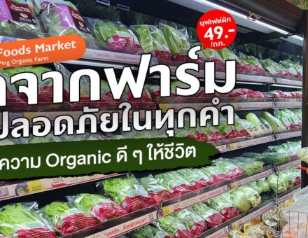 เสริมความเฮลตีให้ชีวิตกับกองทัพผักออร์แกนิกหลากหลายชนิด ในราคาที่เห็นแล้วต้องร้องว้าวที่ Farm Foods Market