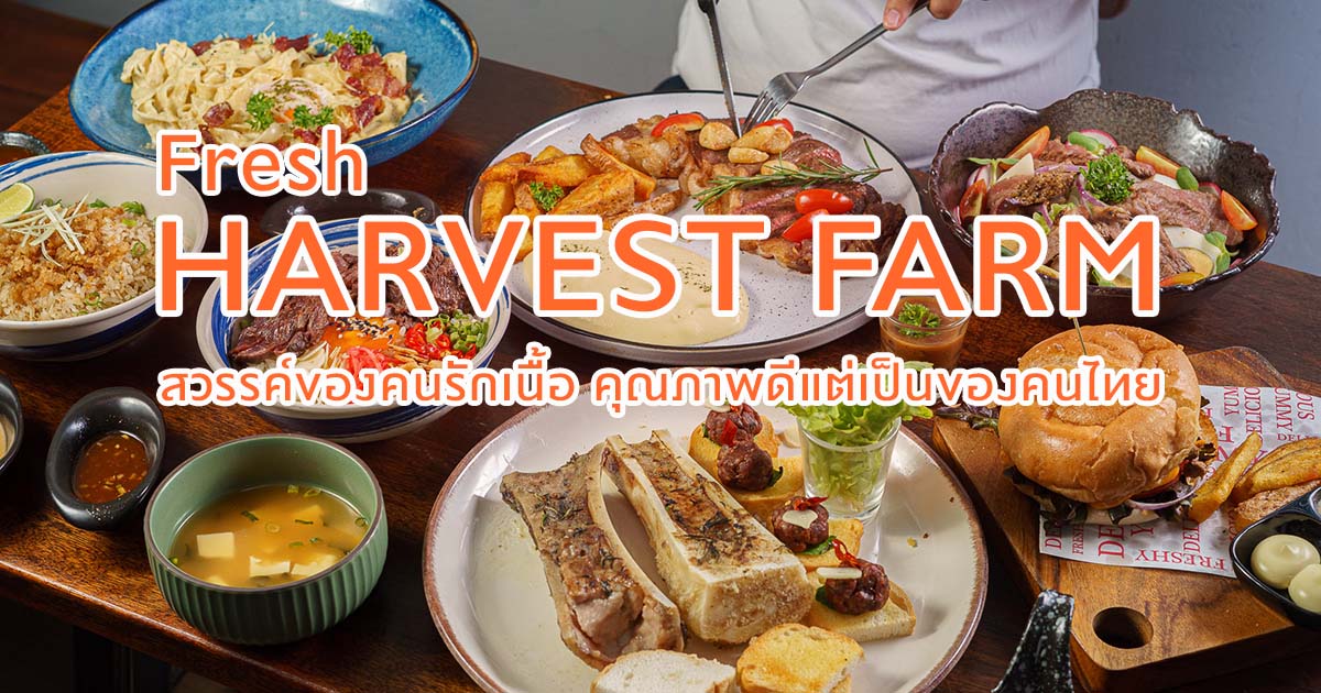 อยากกินเนื้อคุณภาพดี ไม่ต้องง้อเมืองนอก วัวไทยเกรดพรีเมียม รสชาติดีในราคาที่เข้าถึงง่ายที่ Fresh Harvest Farm